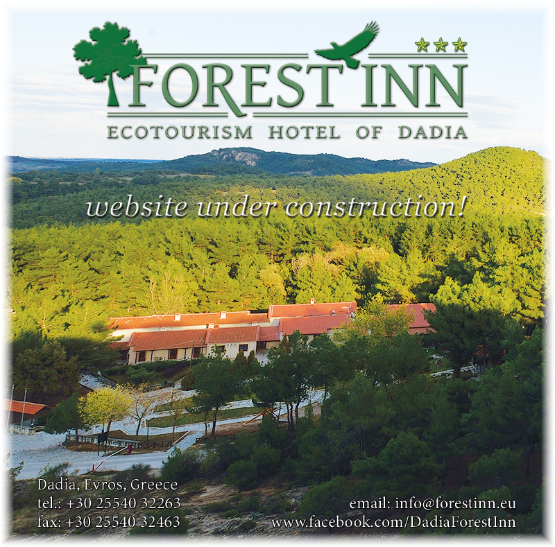 Forest Inn